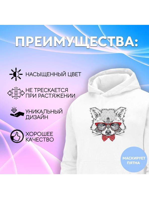 Термотрансфер «Енот в очках», 16,5 × 19 см