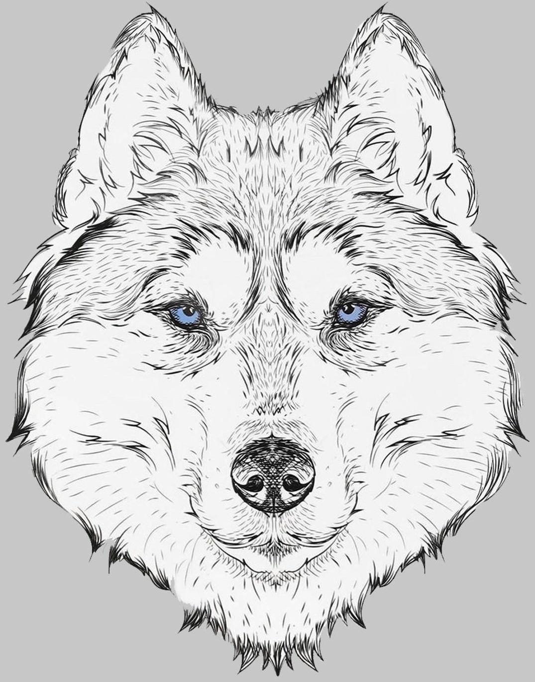 Термотрансфер «Волк», 15,5 × 20 см, цвет чёрный/белый