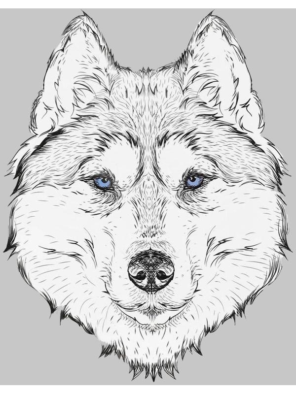 Термотрансфер «Волк», 15,5 × 20 см, цвет чёрный/белый