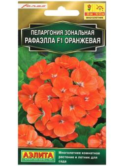 Семена цветов Пеларгония 