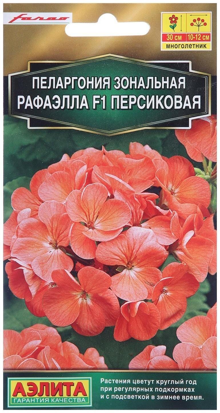 Семена цветов Пеларгония 