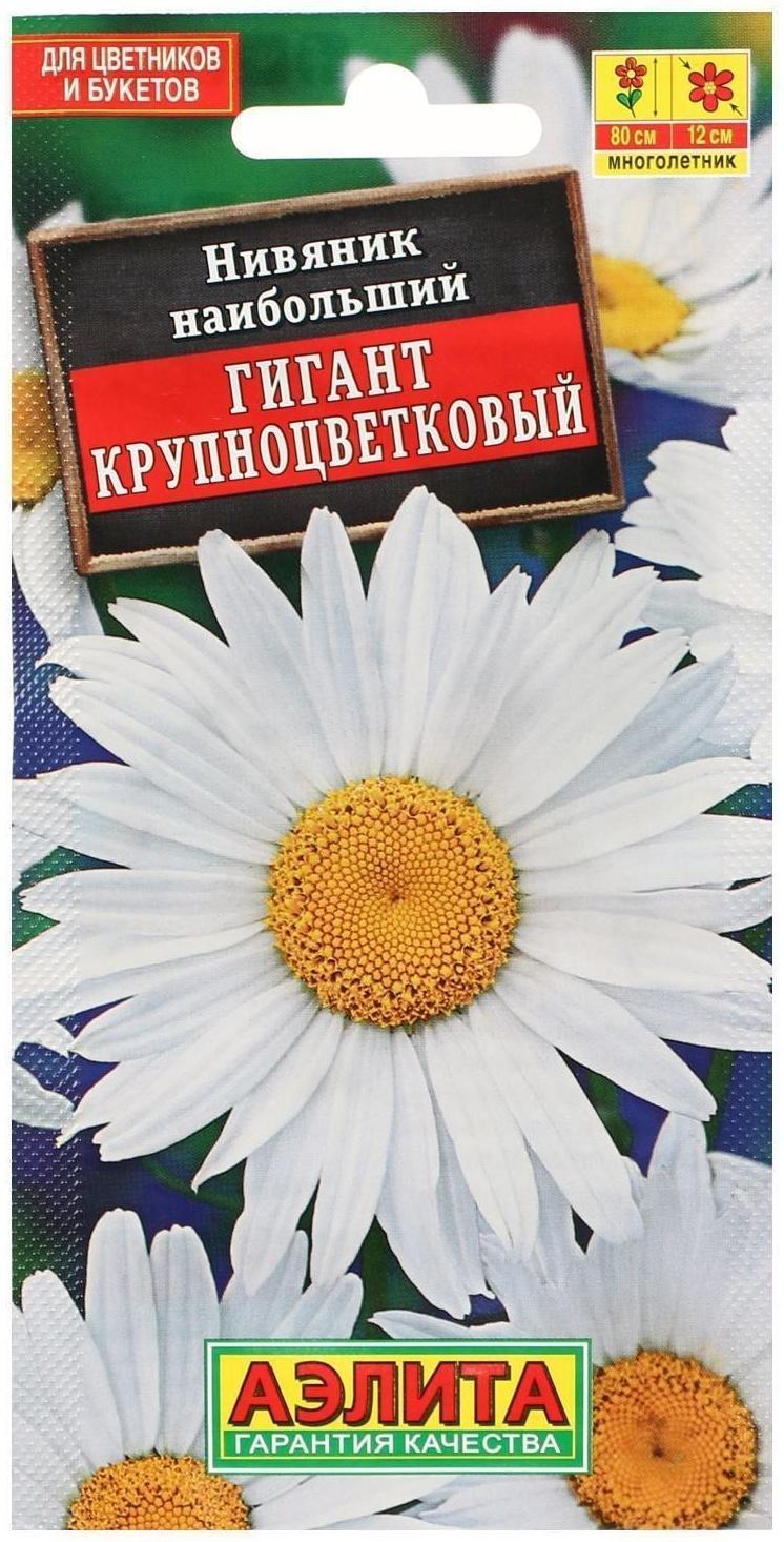 Семена цветов Нивяник 