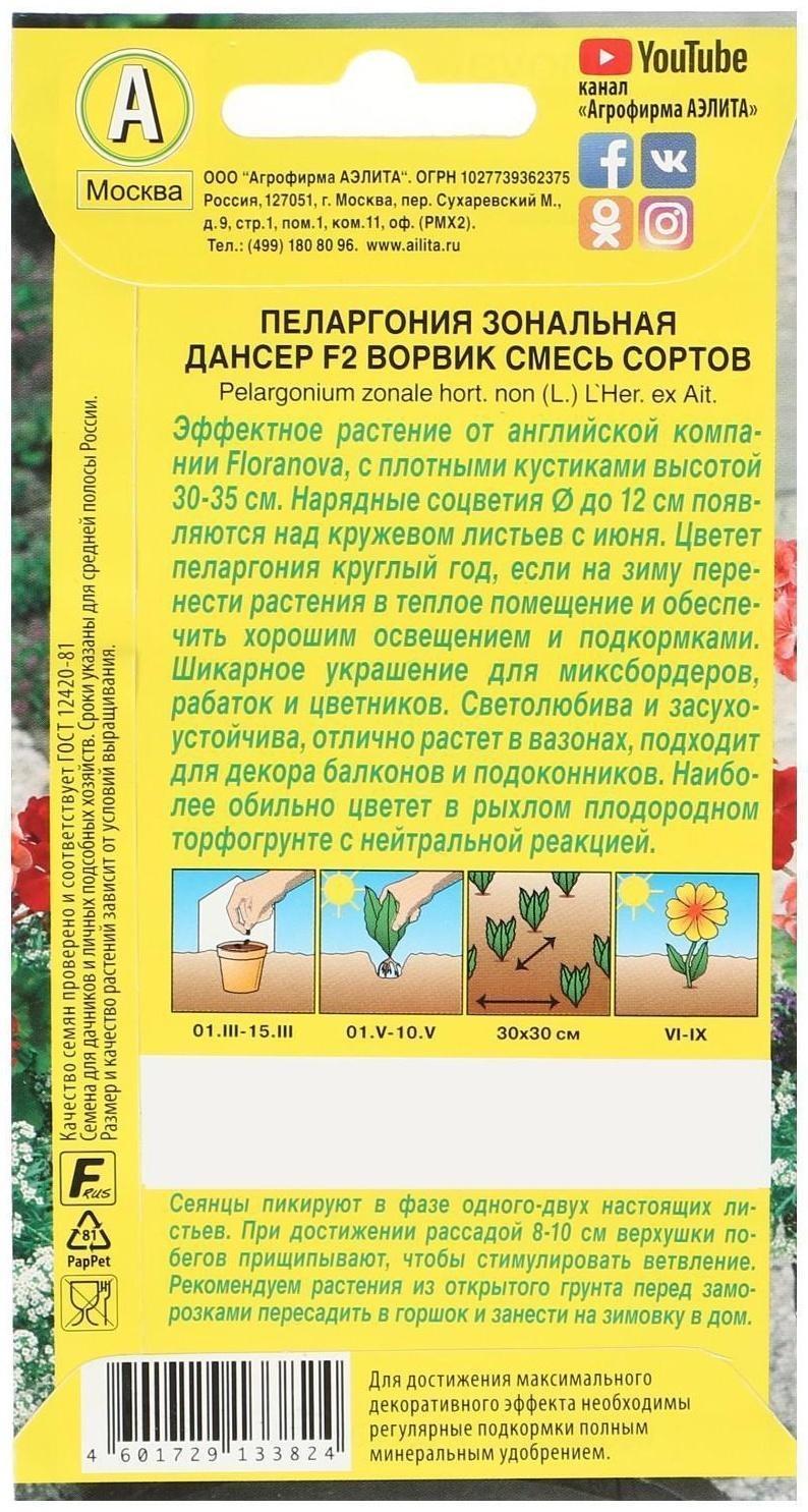 Семена цветов Пеларгония 