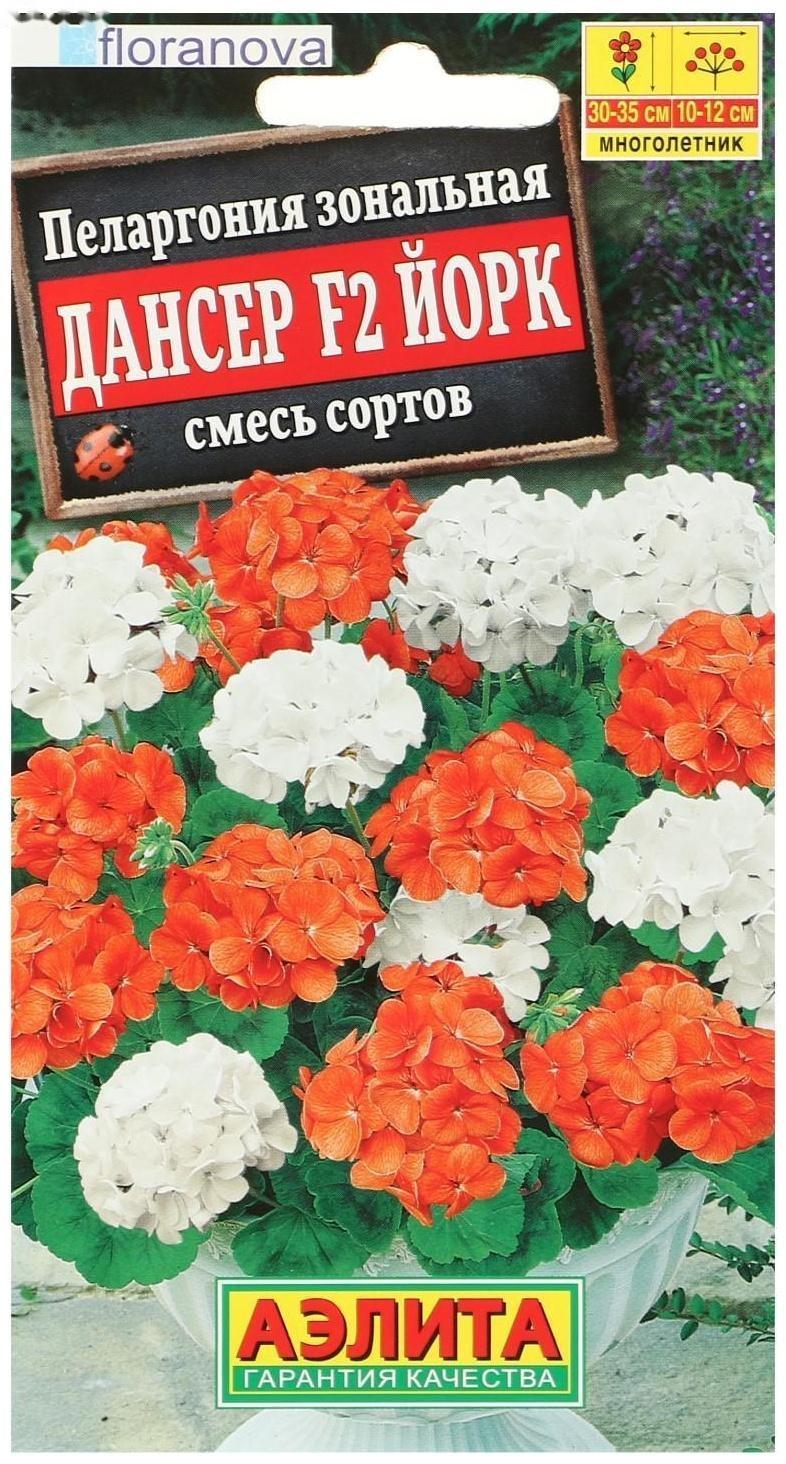 Семена цветов Пеларгония 