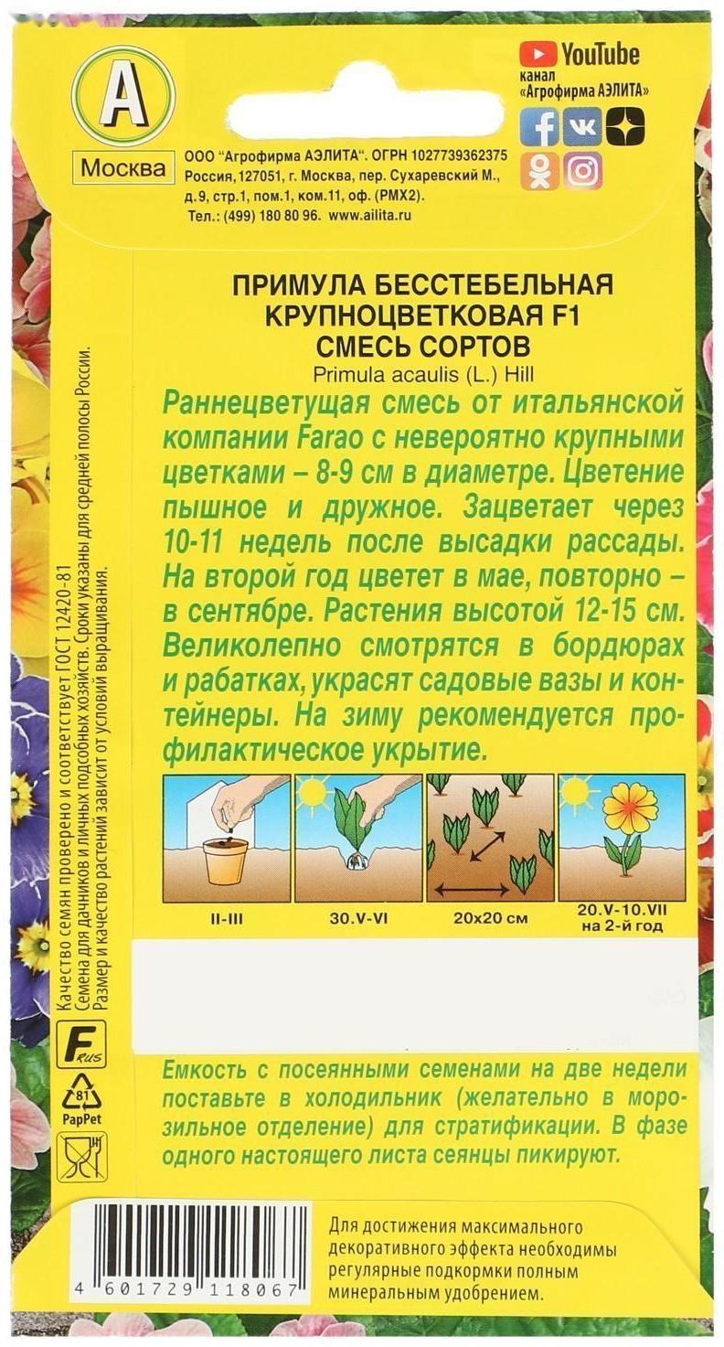 Семена цветов Примула 