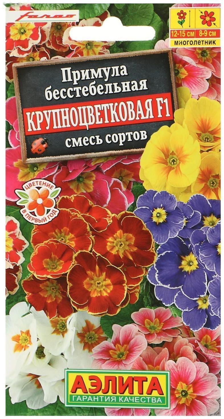 Семена цветов Примула 