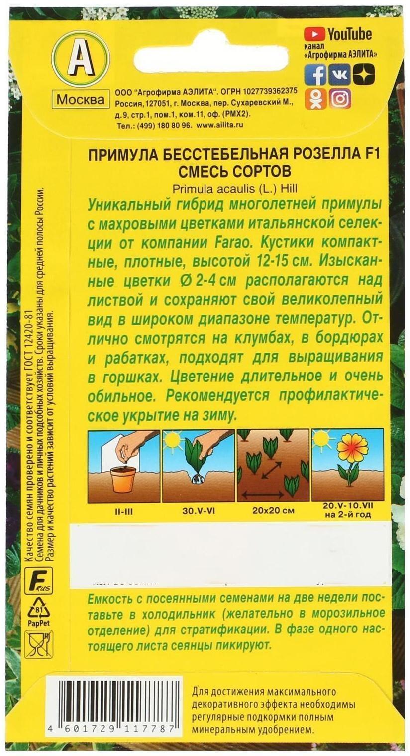 Семена цветов Примула 