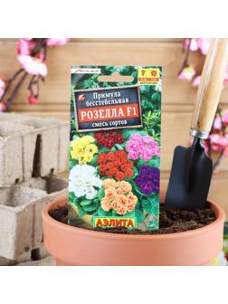 Семена цветов Примула 