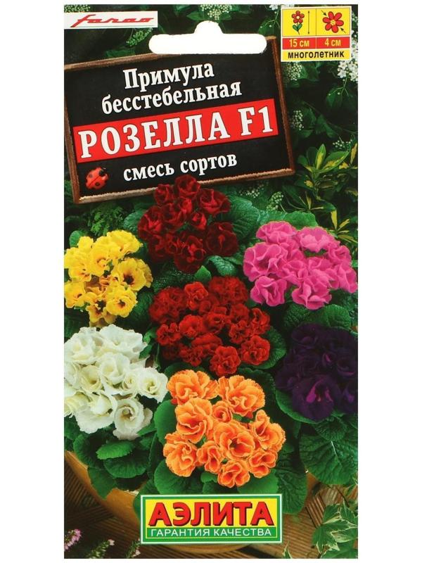 Семена цветов Примула 