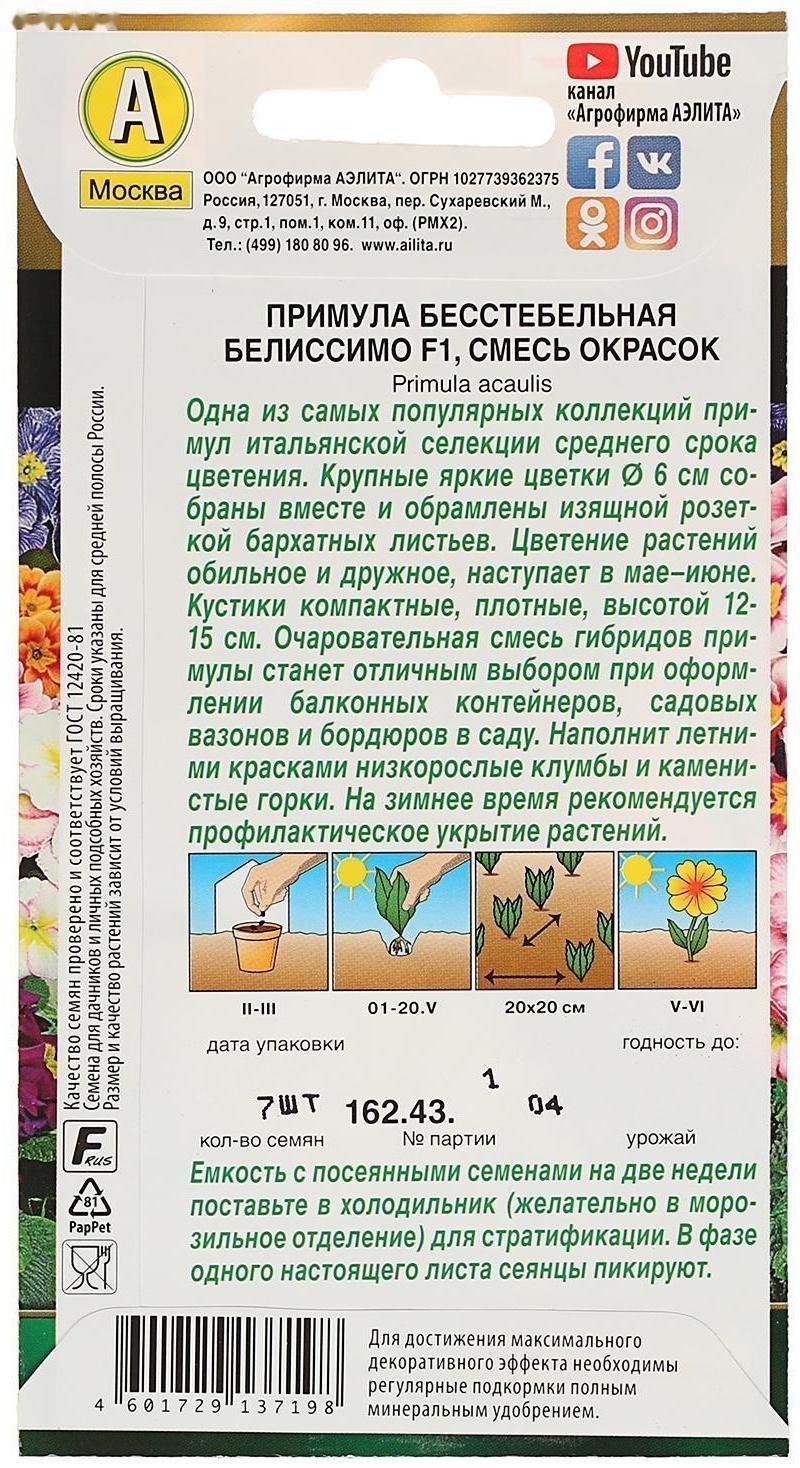 Семена цветов Примула 