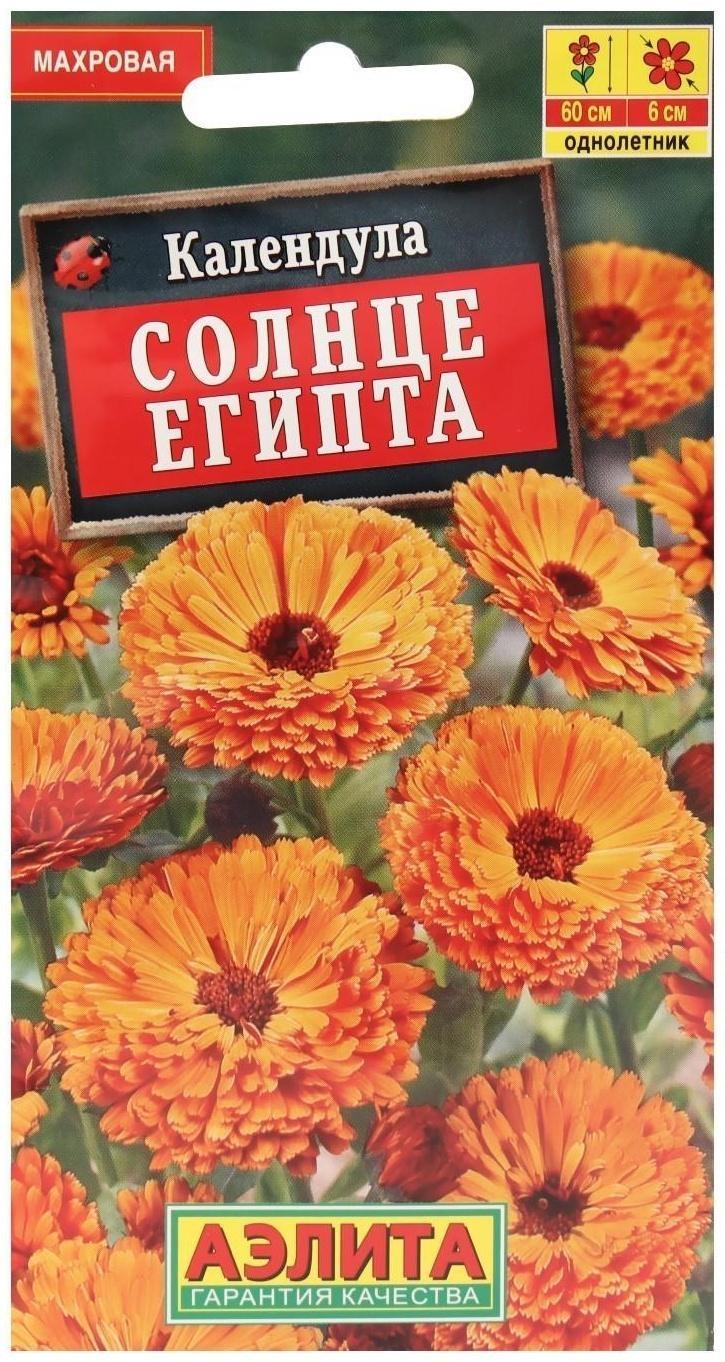 Семена  Календула махровая Солнце Египта, 0,5 г