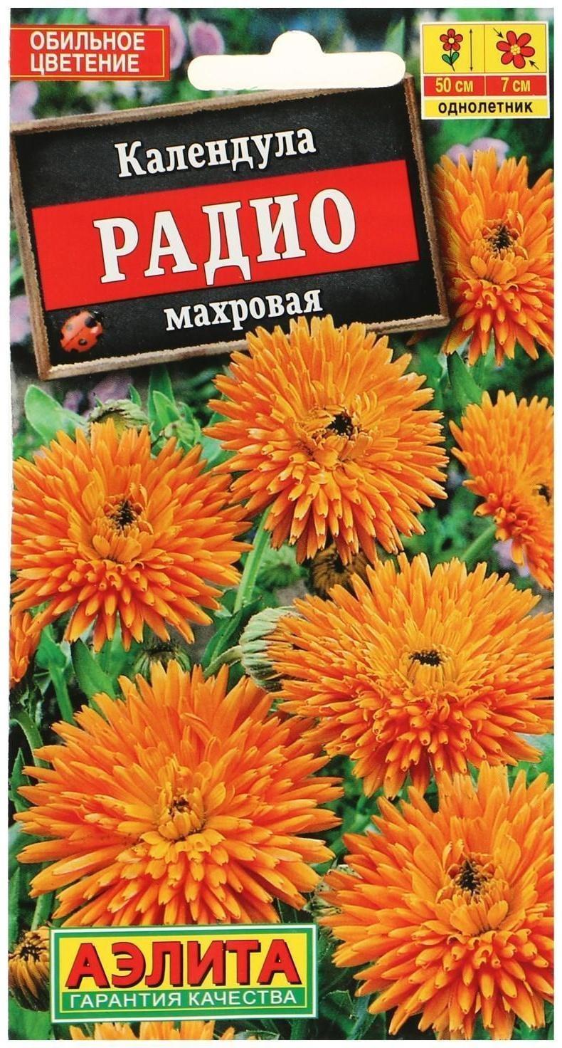 Семена  Календула Радио махровая, 0,5 г