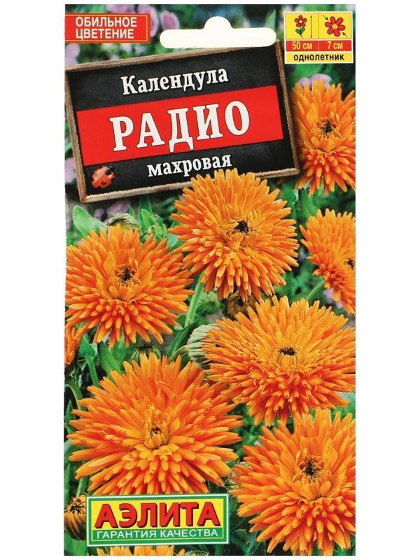 Семена  Календула Радио махровая, 0,5 г