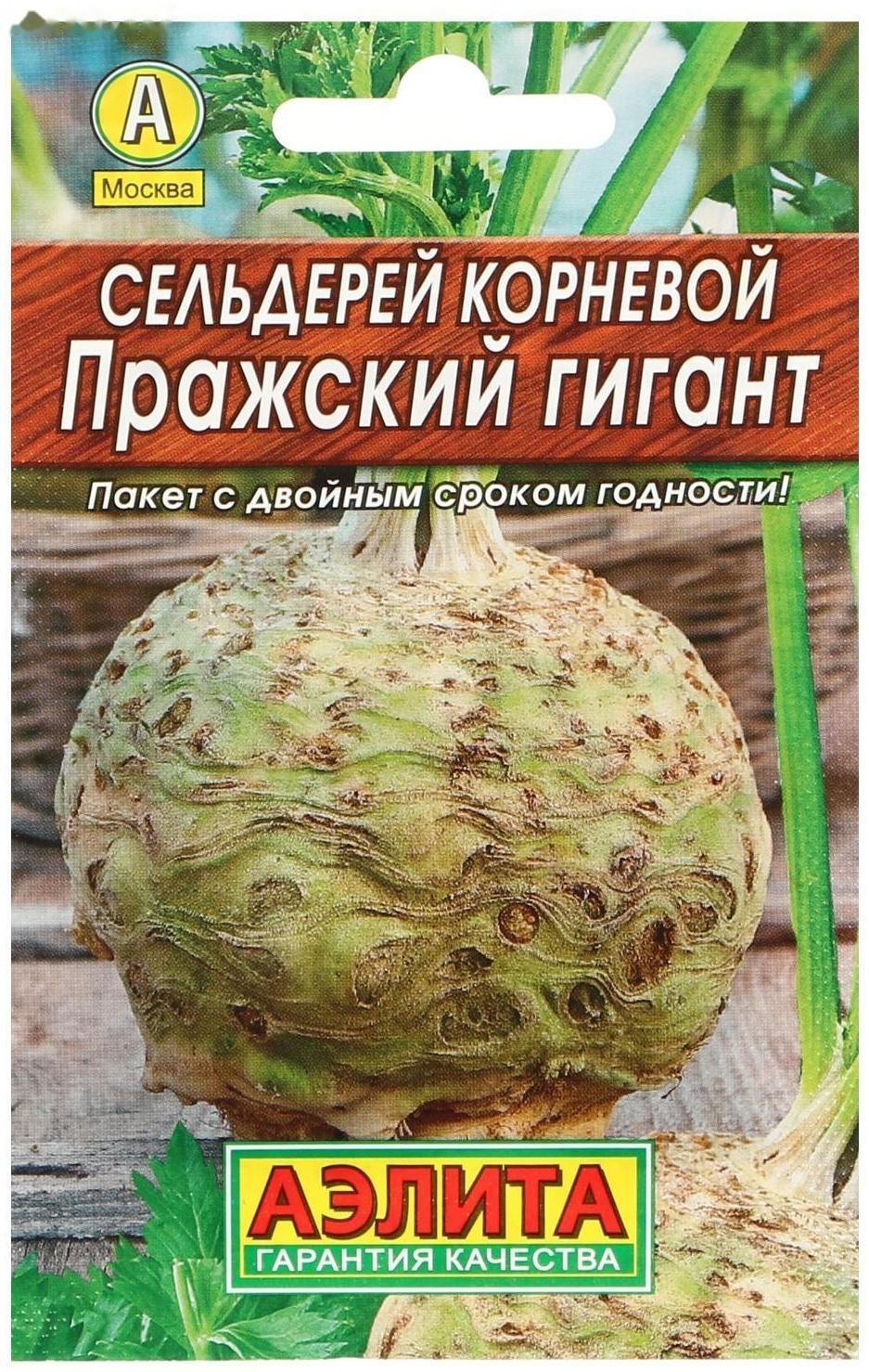 Семена Сельдерей корневой 