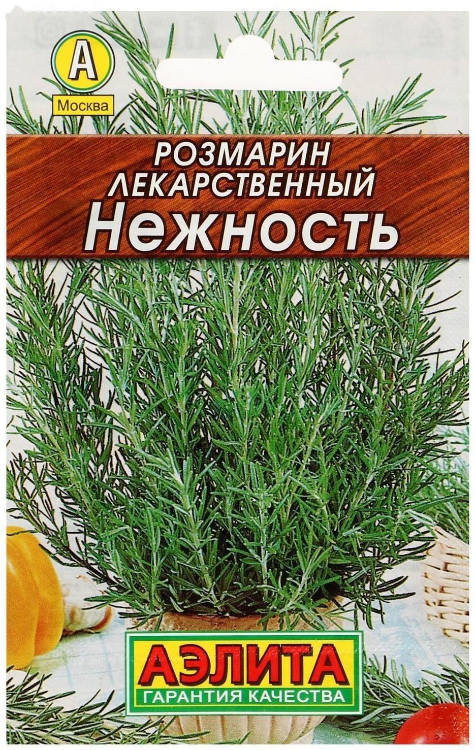 Семена   Розмарин Нежность  