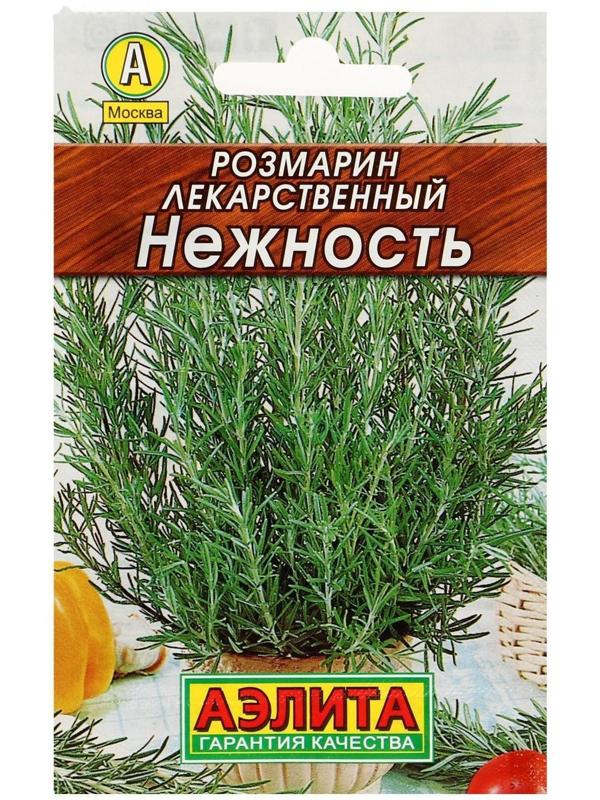 Семена   Розмарин Нежность  