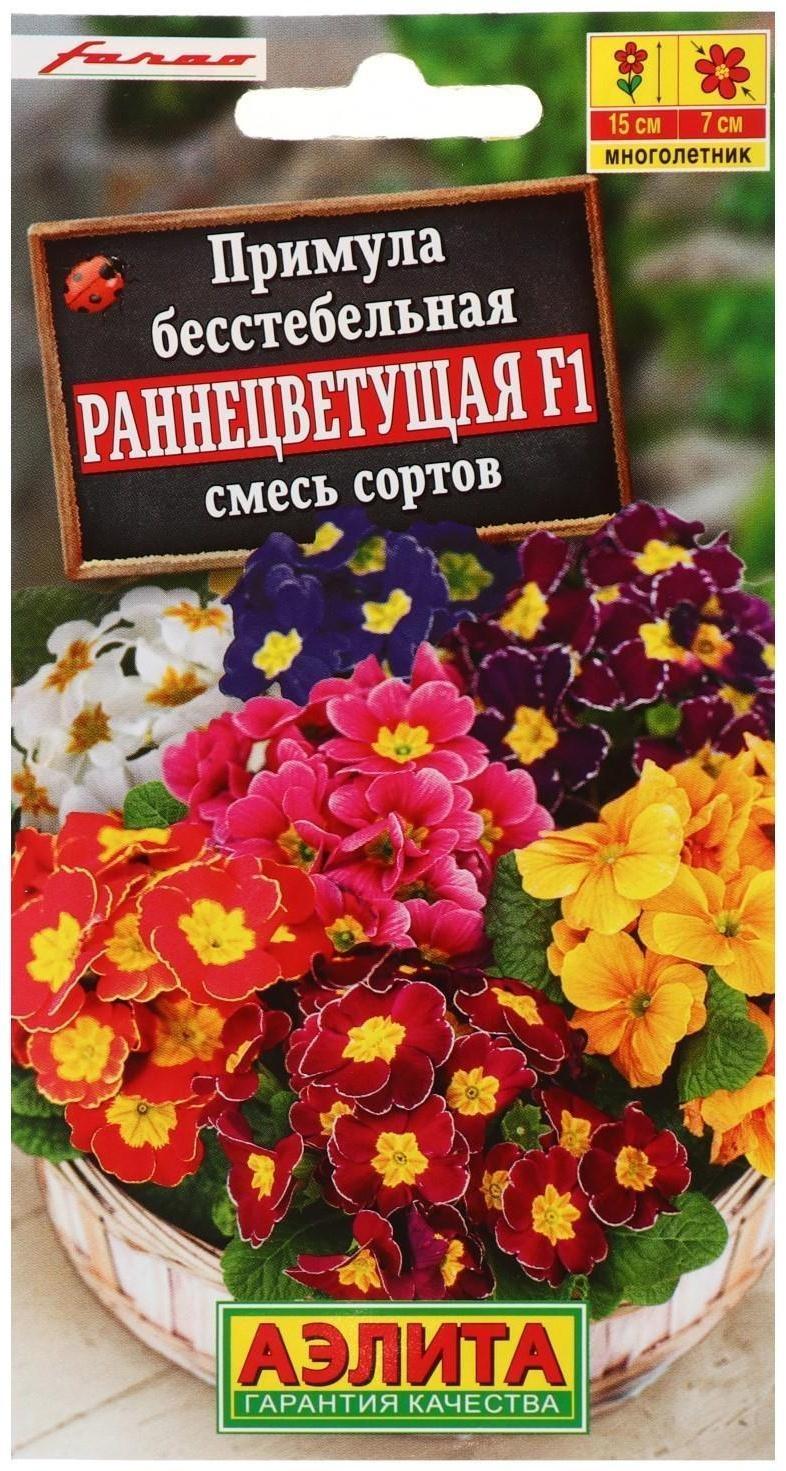 Семена цветов Примула 