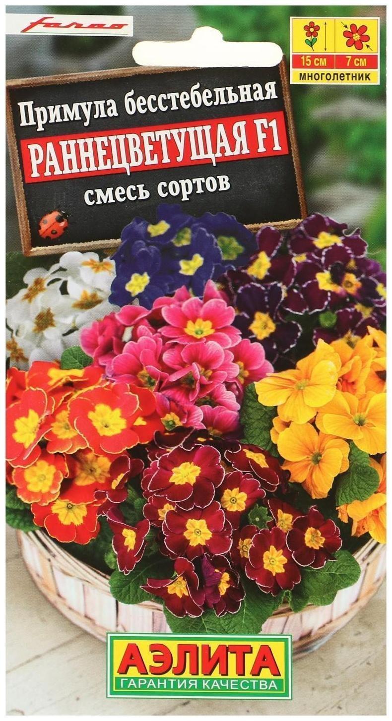 Семена цветов Примула 