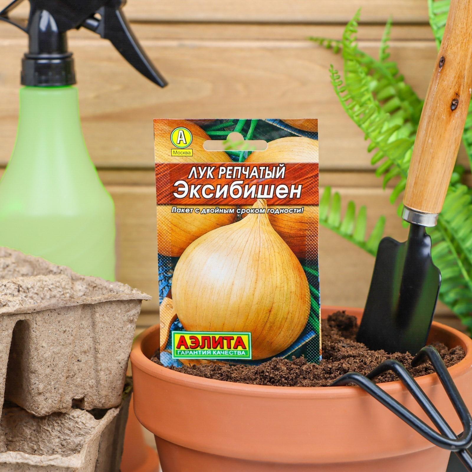 Семена Лук репчатый 