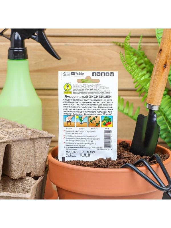 Семена Лук репчатый 