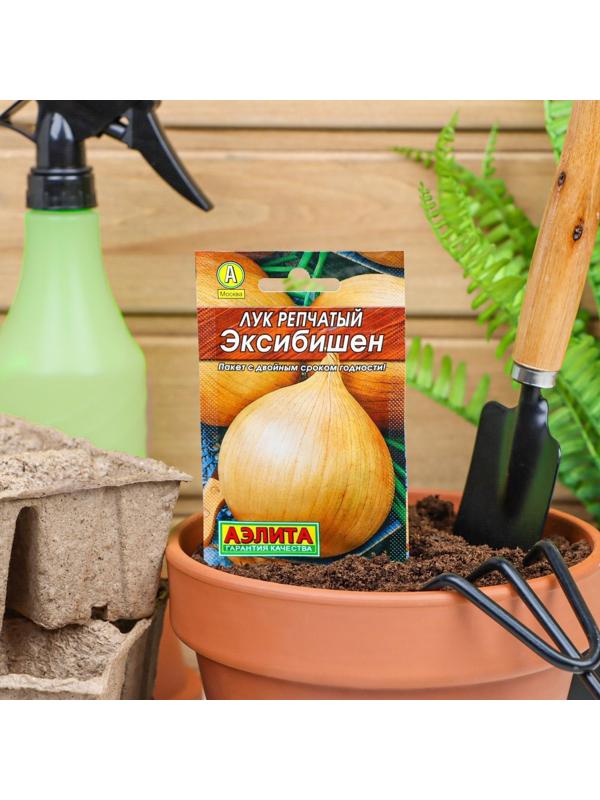 Семена Лук репчатый 