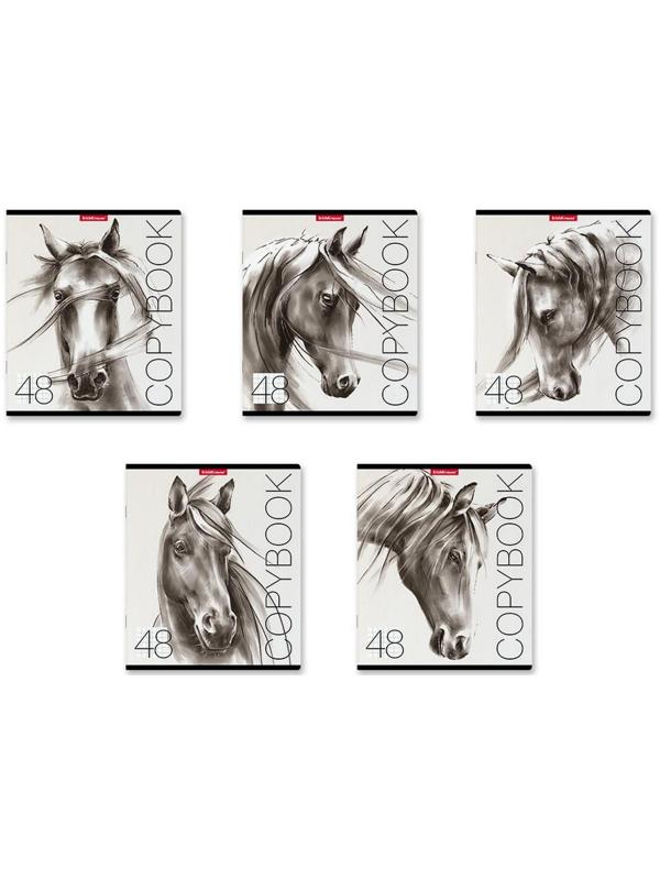 Тетрадь 48 листов в клетку ErichKrause Wild Horse, обложка мелованный картон, блок офсет / Микс 5 шт.