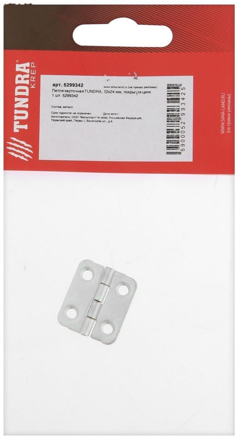 Петля карточная ТУНДРА, 22х24 мм, покрытие цинк 1 шт.