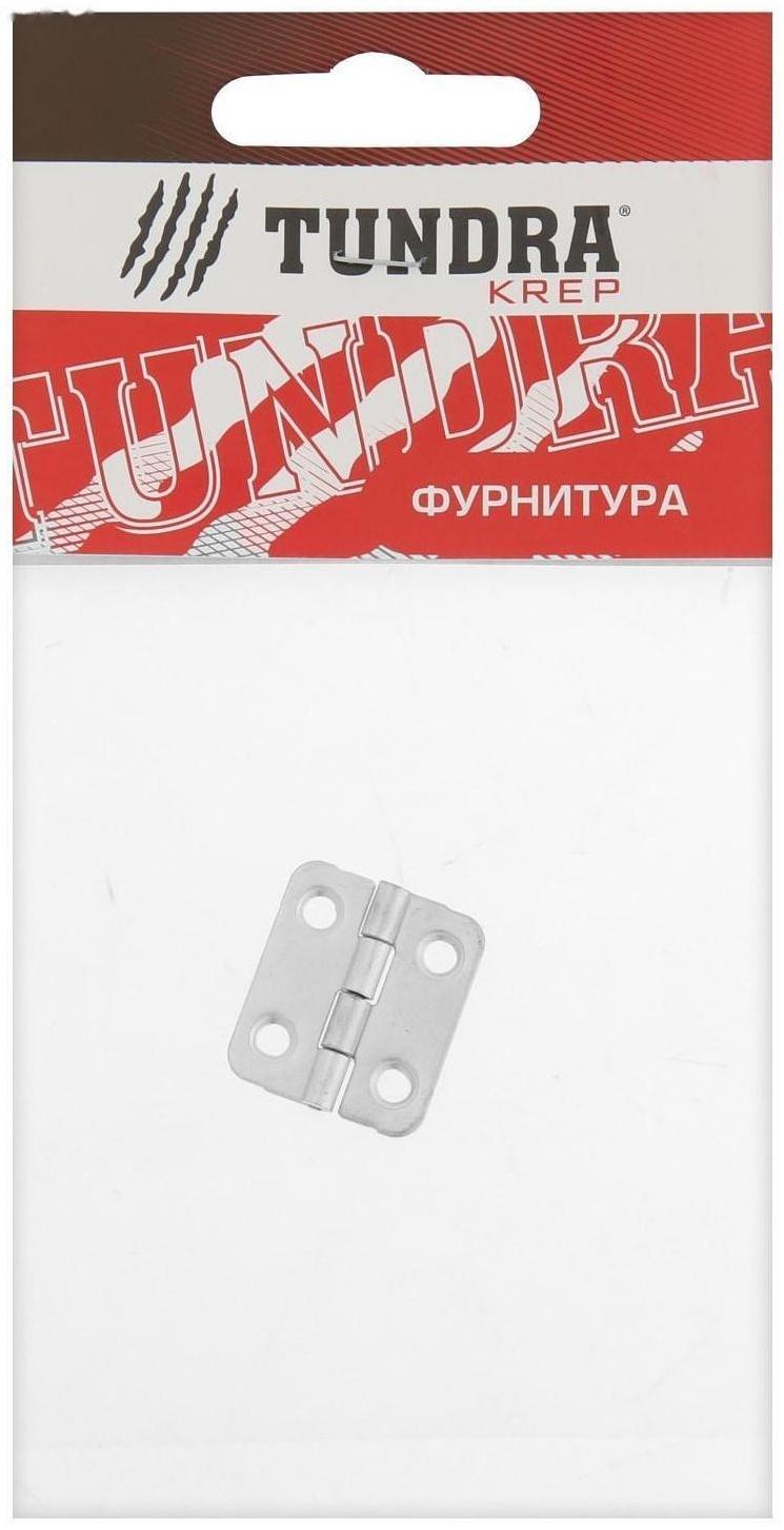 Петля карточная ТУНДРА, 22х24 мм, покрытие цинк 1 шт.