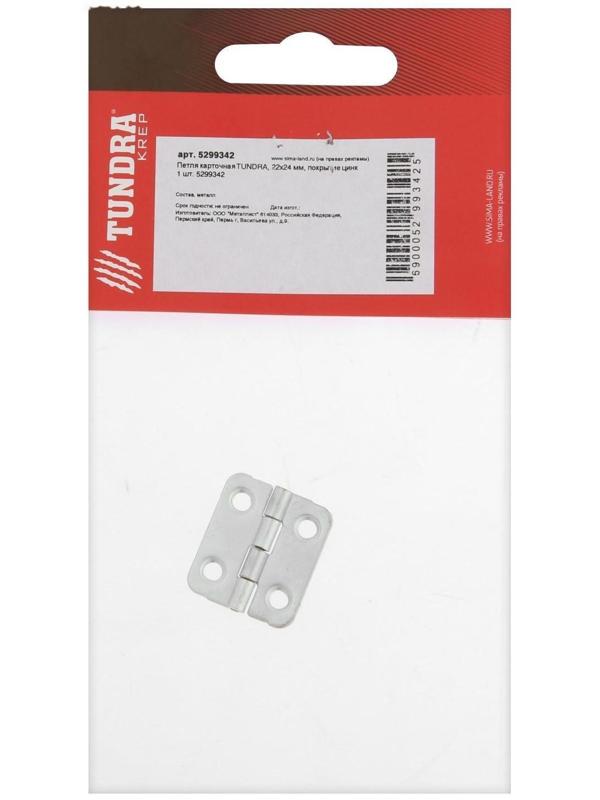 Петля карточная ТУНДРА, 22х24 мм, покрытие цинк 1 шт.