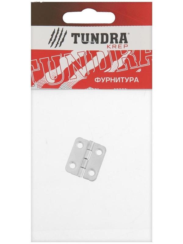 Петля карточная ТУНДРА, 22х24 мм, покрытие цинк 1 шт.