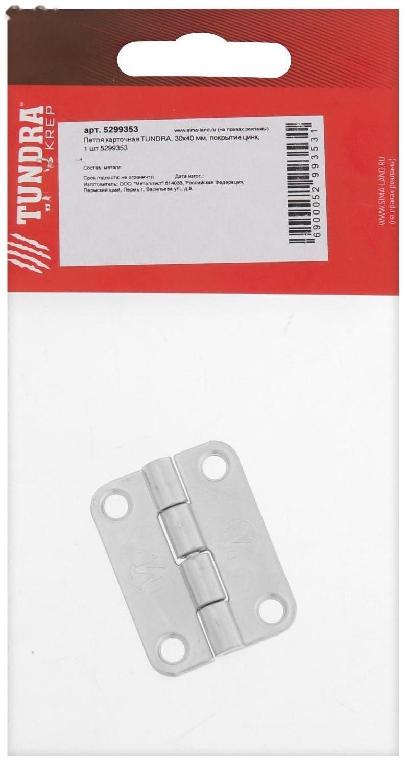 Петля карточная ТУНДРА, 30х40 мм, покрытие цинк, 1 шт