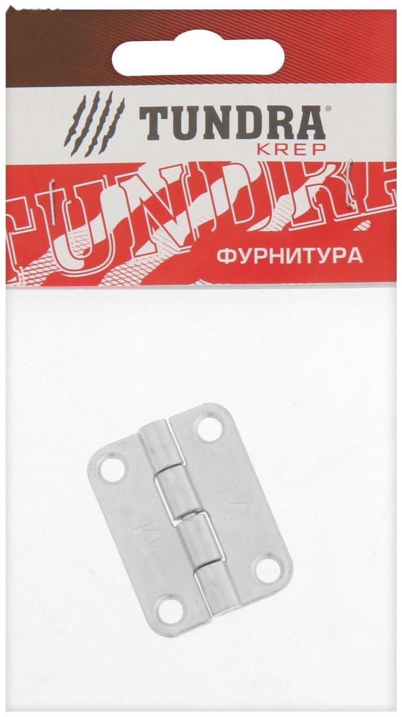 Петля карточная ТУНДРА, 30х40 мм, покрытие цинк, 1 шт