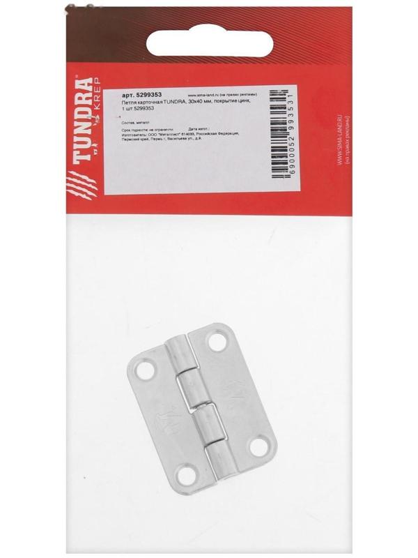 Петля карточная ТУНДРА, 30х40 мм, покрытие цинк, 1 шт