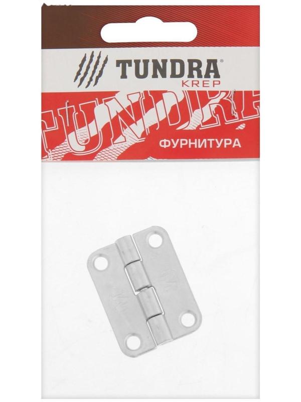 Петля карточная ТУНДРА, 30х40 мм, покрытие цинк, 1 шт