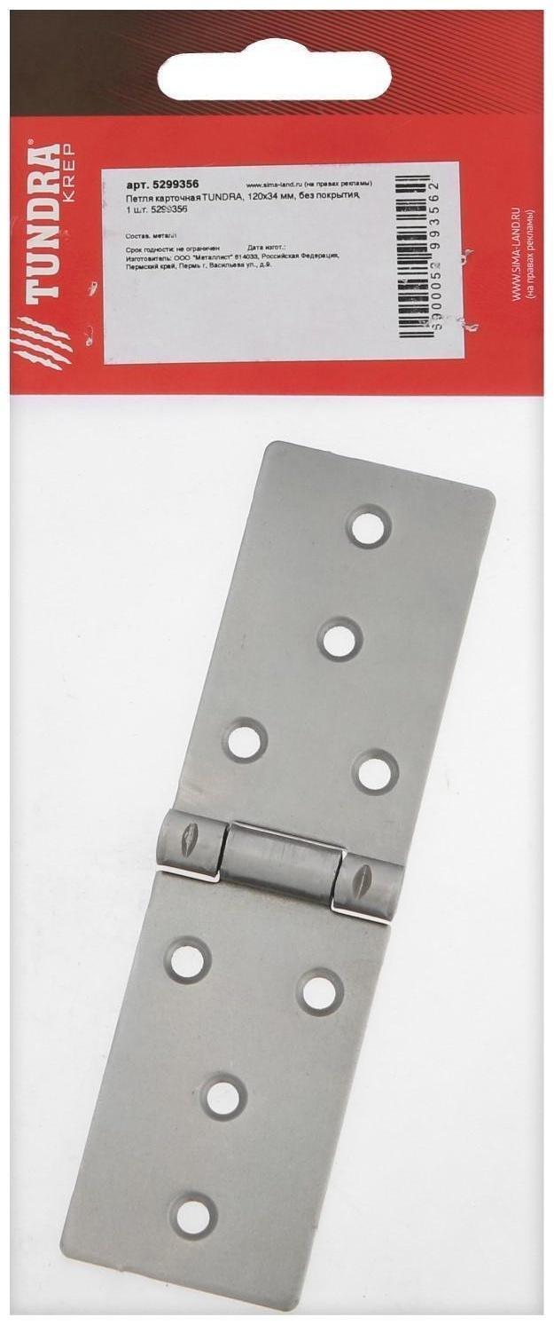 Петля карточная ТУНДРА, 120х34 мм, без покрытия, 1 шт.