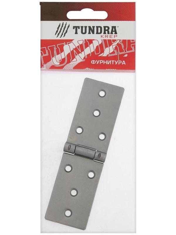 Петля карточная ТУНДРА, 120х34 мм, без покрытия, 1 шт.