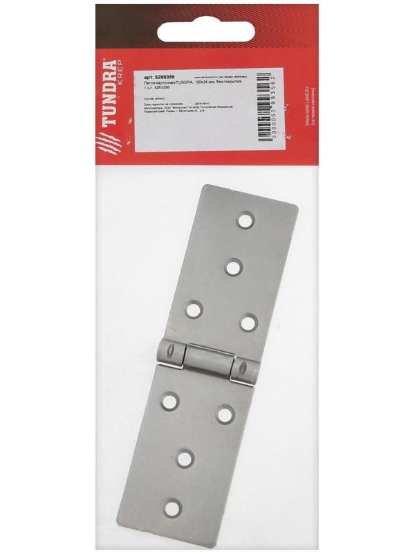 Петля карточная ТУНДРА, 120х34 мм, без покрытия, 1 шт.