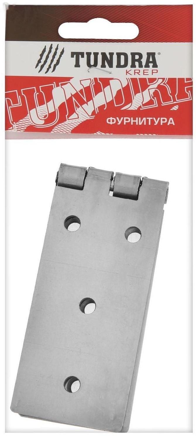 Петля карточная ТУНДРА, 200х45 мм, без покрытия, 1 шт.