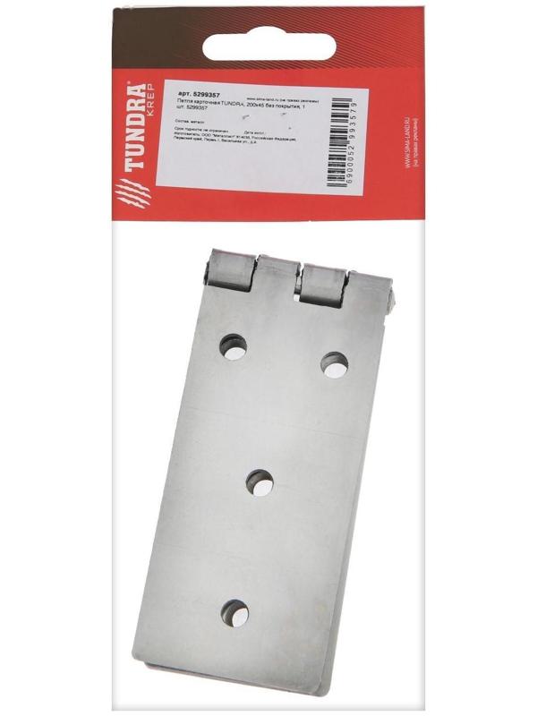 Петля карточная ТУНДРА, 200х45 мм, без покрытия, 1 шт.