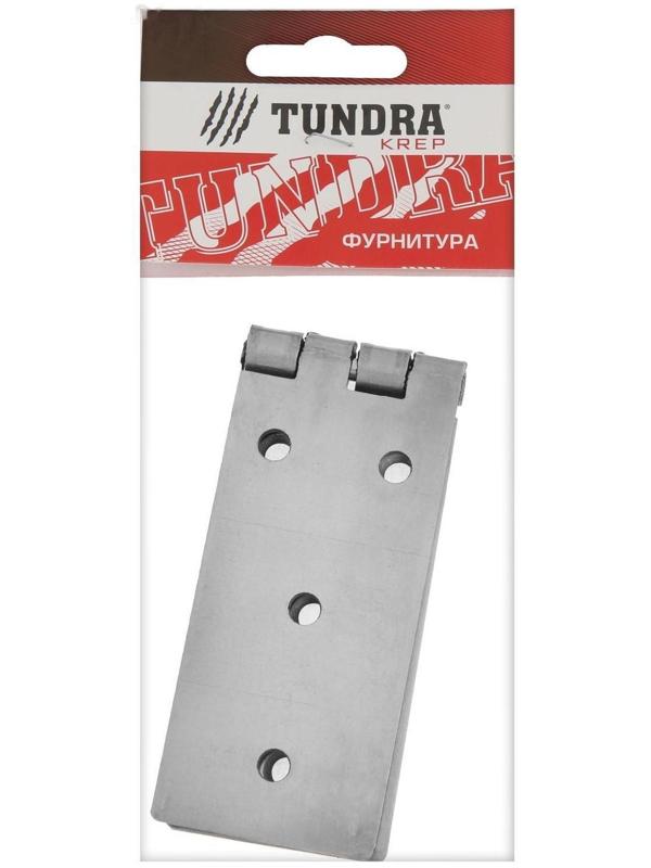 Петля карточная ТУНДРА, 200х45 мм, без покрытия, 1 шт.