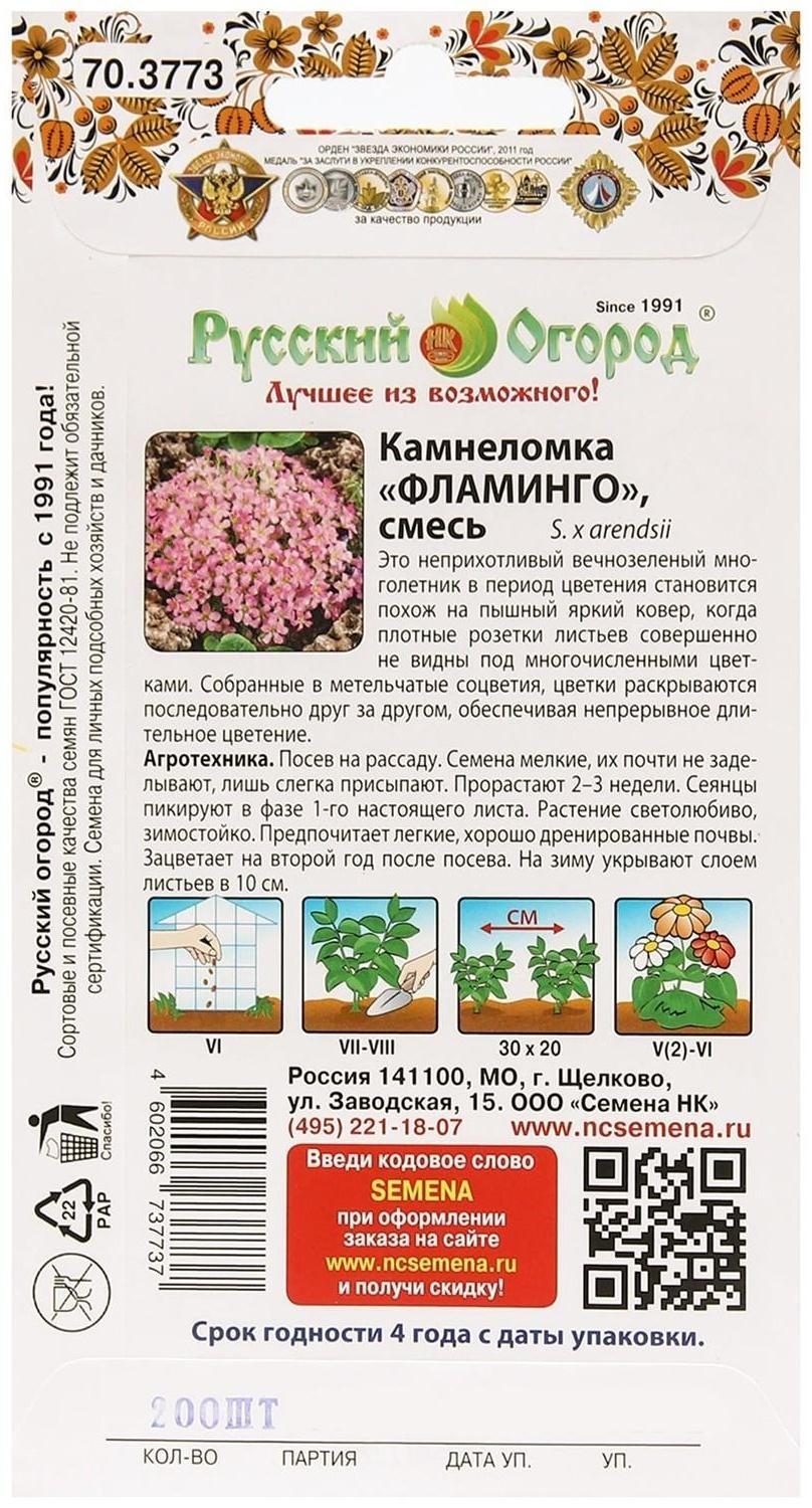 Семена цветов Камнеломка 