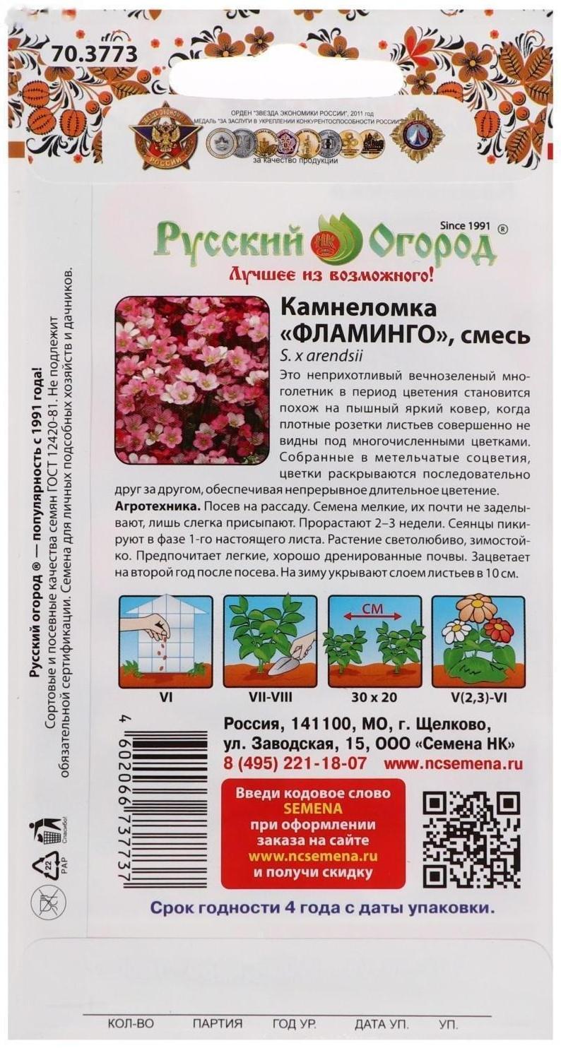 Семена цветов Камнеломка 