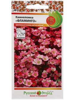 Семена цветов Камнеломка 