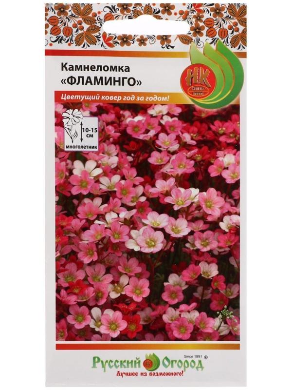 Семена цветов Камнеломка 