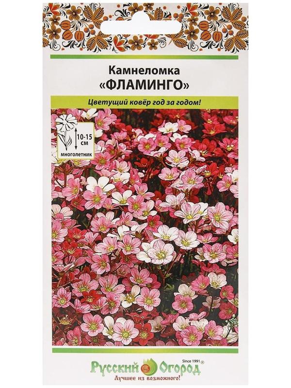 Семена цветов Камнеломка 