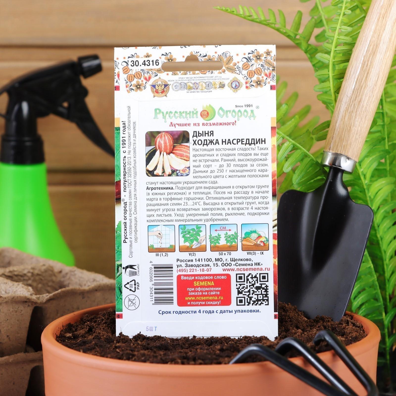 Семена Дыня 