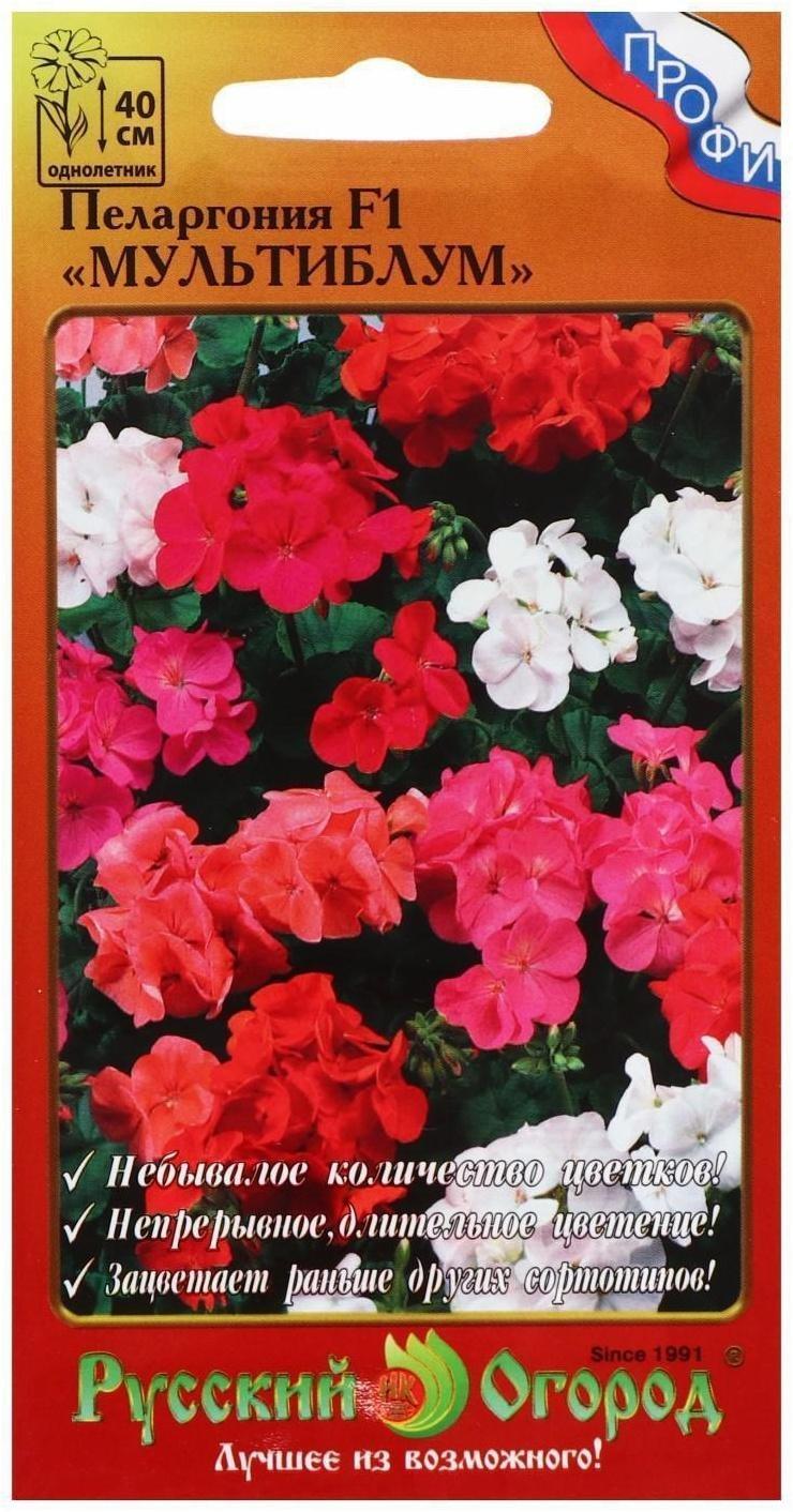 Семена цветов Пеларгония 