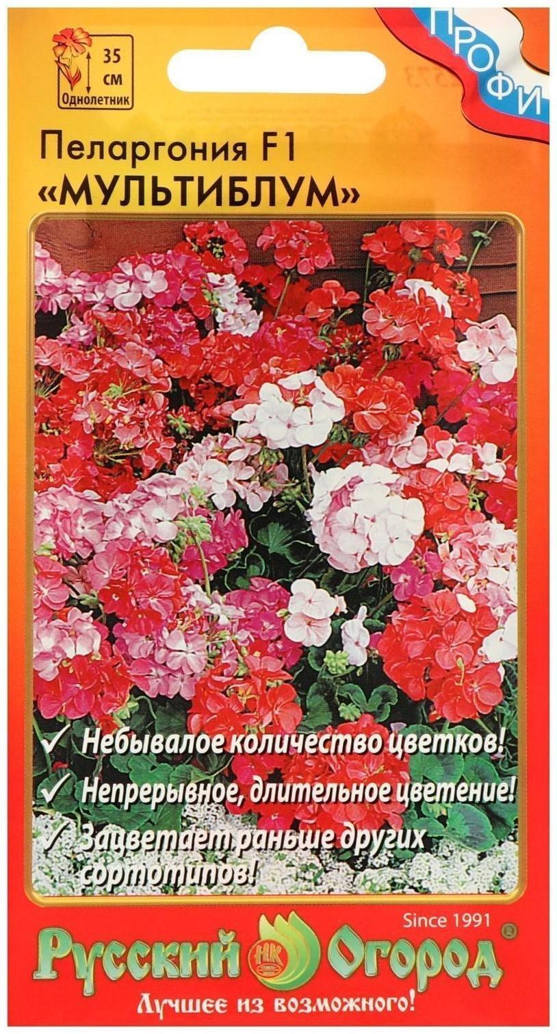 Семена цветов Пеларгония 