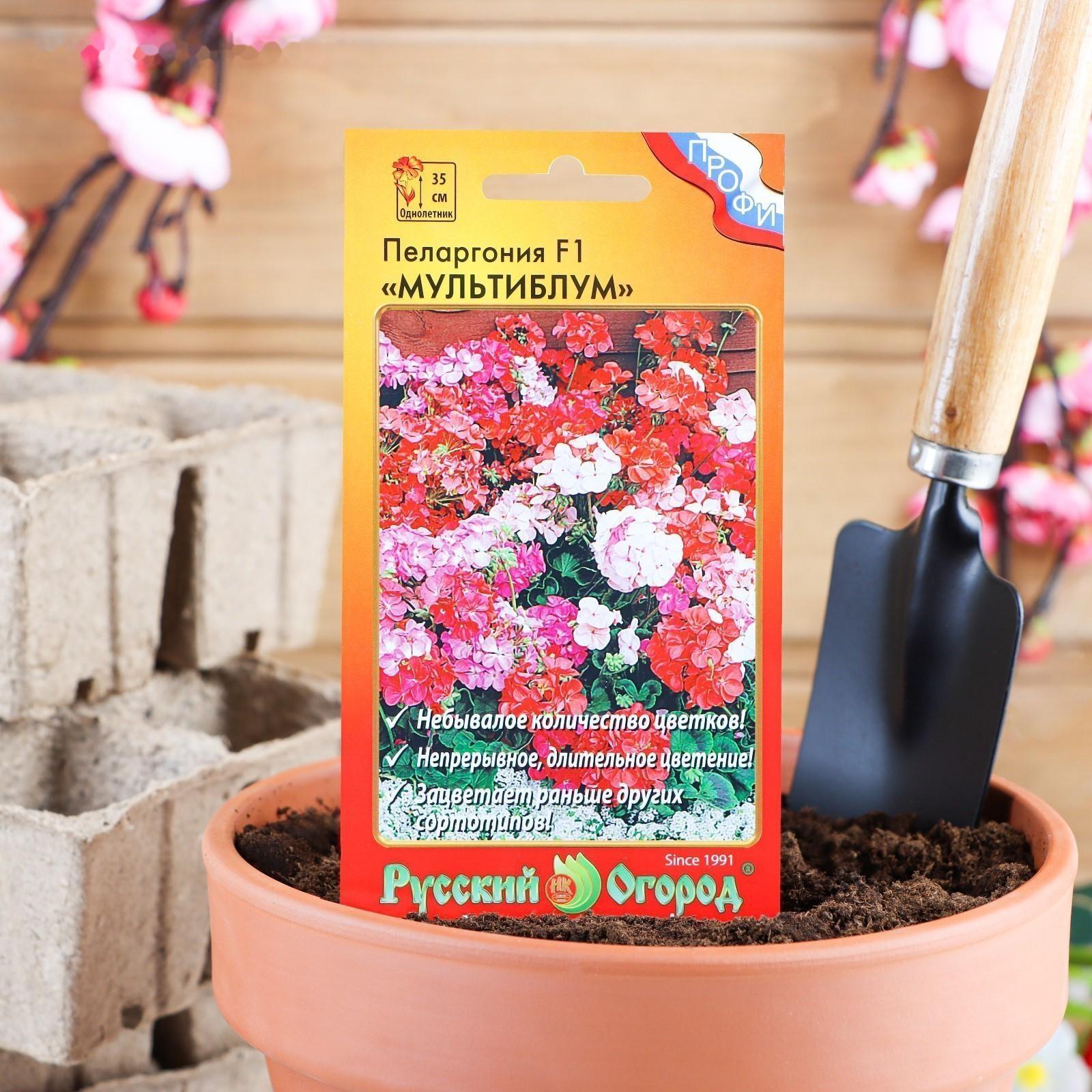 Семена цветов Пеларгония 