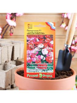 Семена цветов Пеларгония 